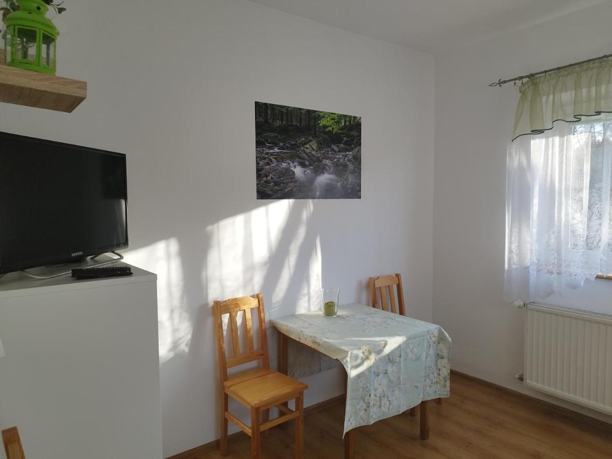Jaskolka Apartment Ladek-Zdroj Exterior photo